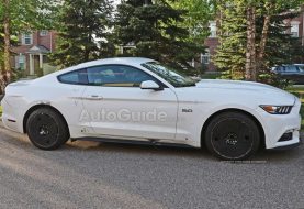 This is Possibly the Next Ford Mustang Mach 1